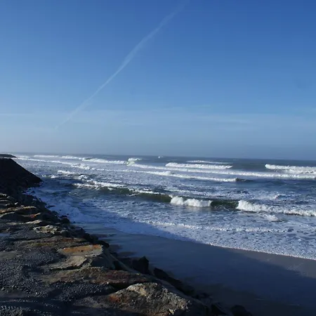 Beautiful Facing The Sea